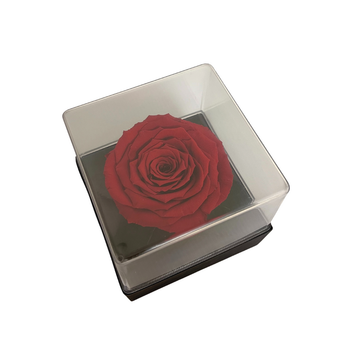 Acrylic Gift Box RED 02