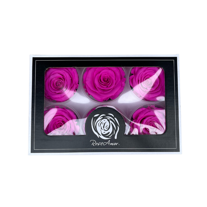Preserved Rose BRIGHT HOT PINK (PIN 07 LL+)
