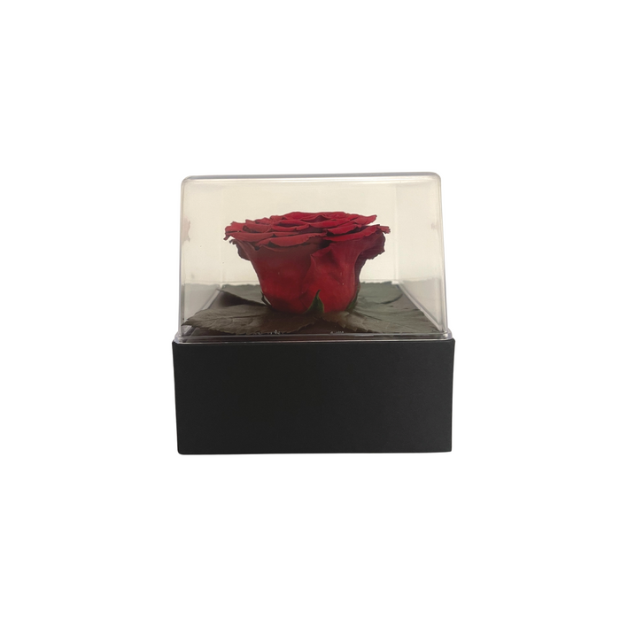 Acrylic Gift Box RED 02