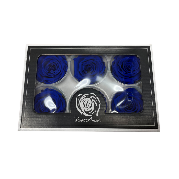 Preserved Rose ROYAL BLUE (BLU 03 XL)