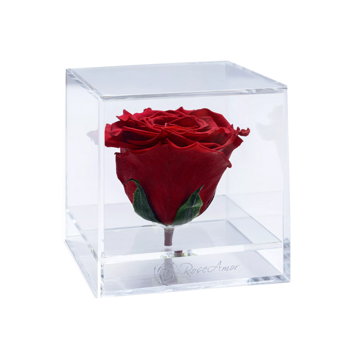 Acrylic Cube RED 02