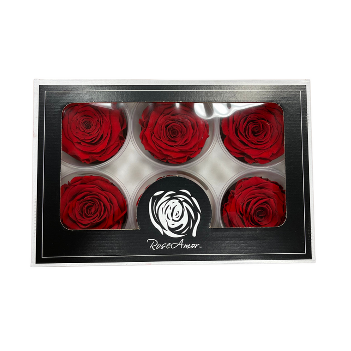 Preserved Rose PURE RED (RED 02 LL+)