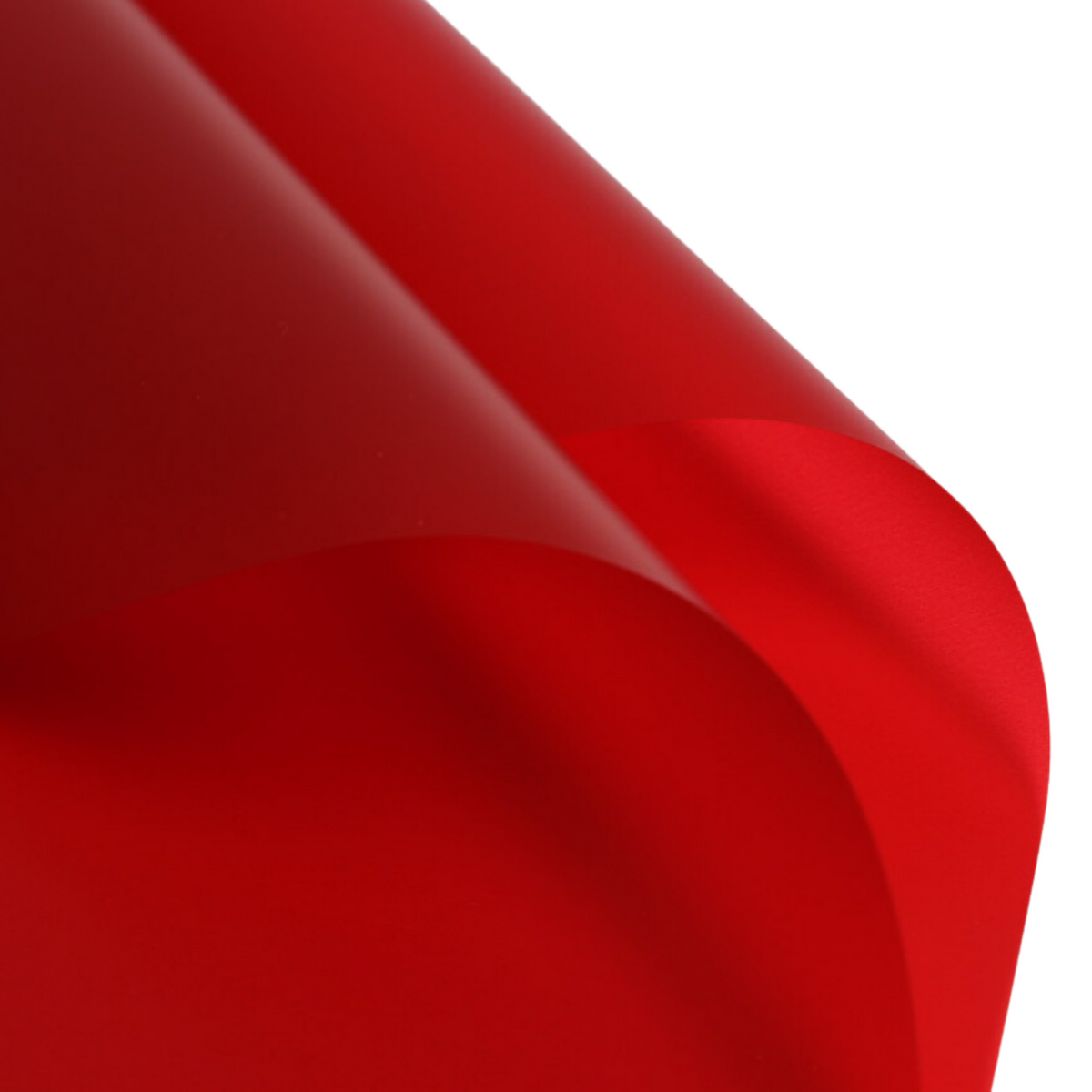 Translucent Floral Wrapping Paper (RED) — Plenty Flowers