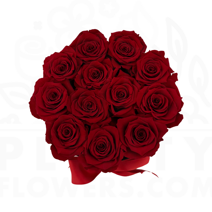 Fancy Roses Wholesale Preserved Roses — Plenty Flowers