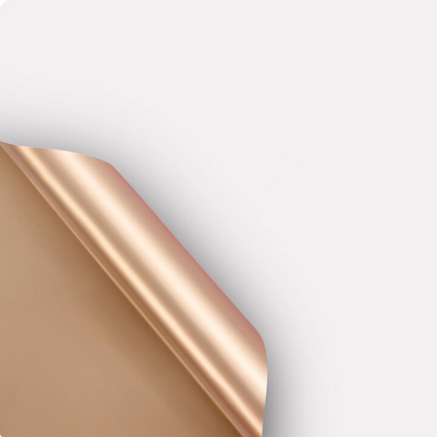 Double Sided Floral Wrapping Paper (WHITE/GOLD) — Plenty Flowers