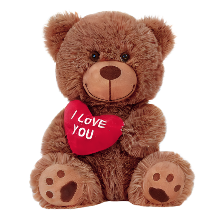Plush Teddy VDAY ILY 10" (BROWN)