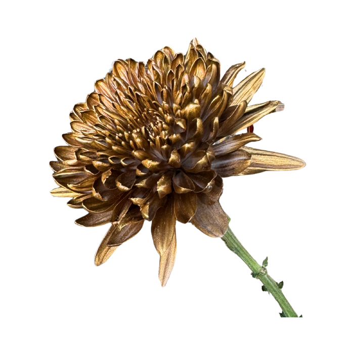 Floral Spray Paint (ANTIQUE GOLD) #085