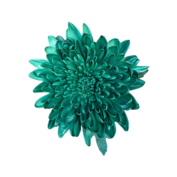 Floral Spray Paint (HOLIDAY GREEN) #042
