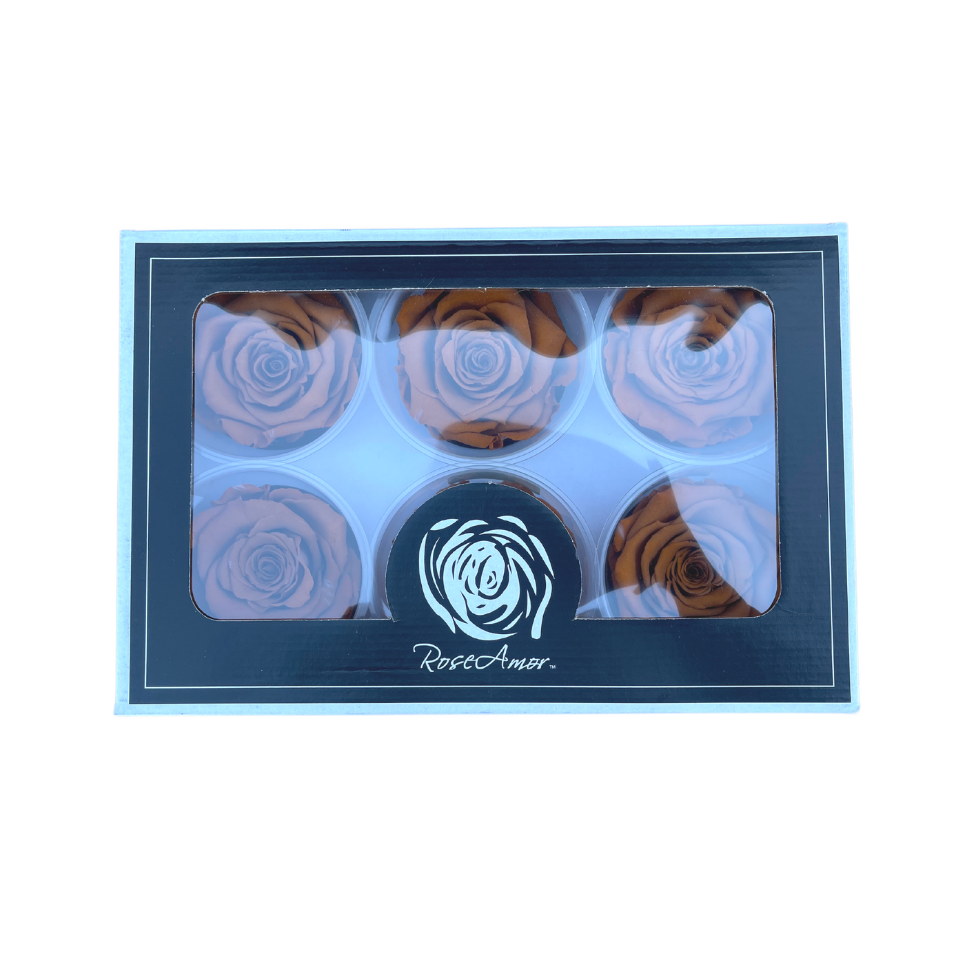Wholesale Preserved Roses — Plenty Flowers