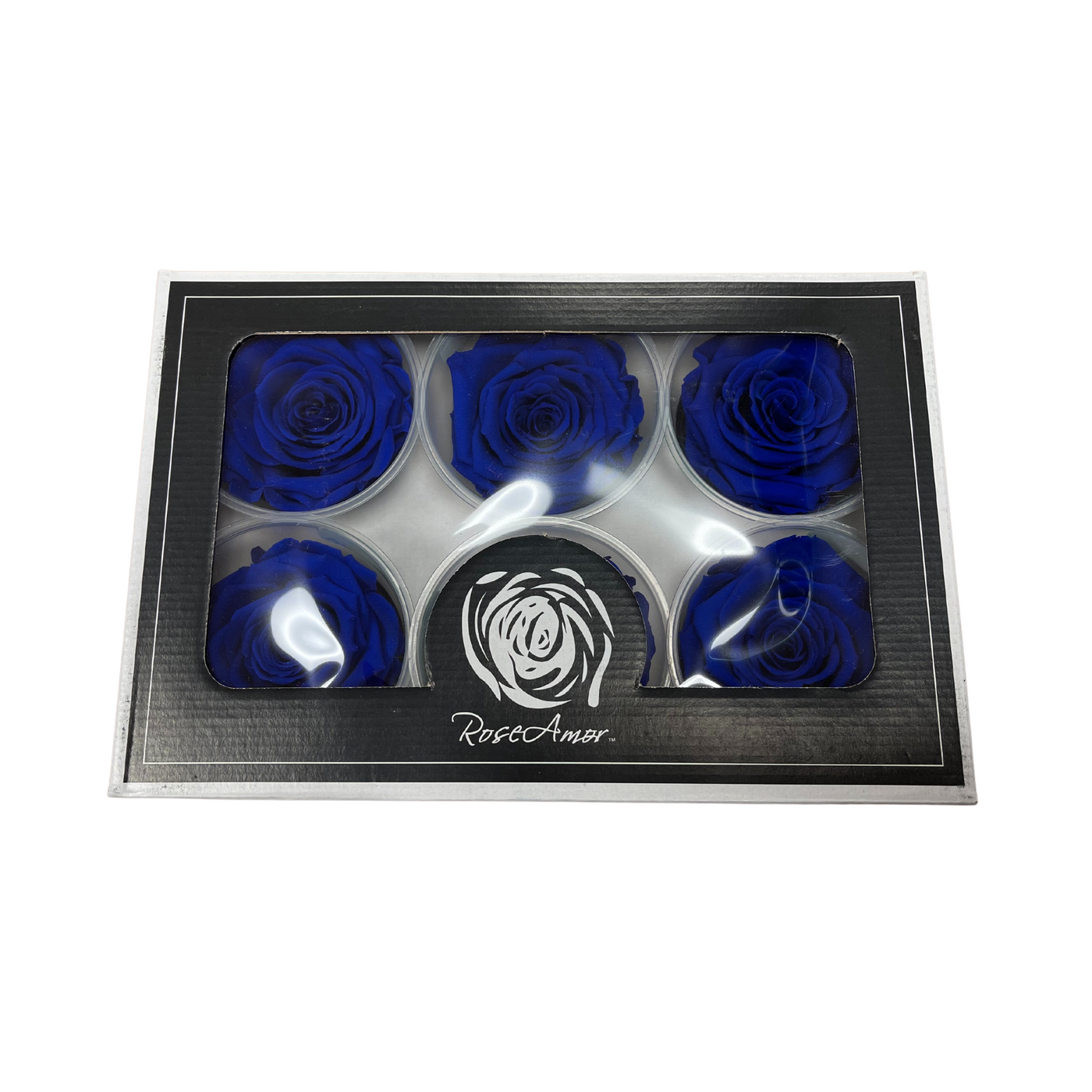 Wholesale Preserved Roses — Plenty Flowers