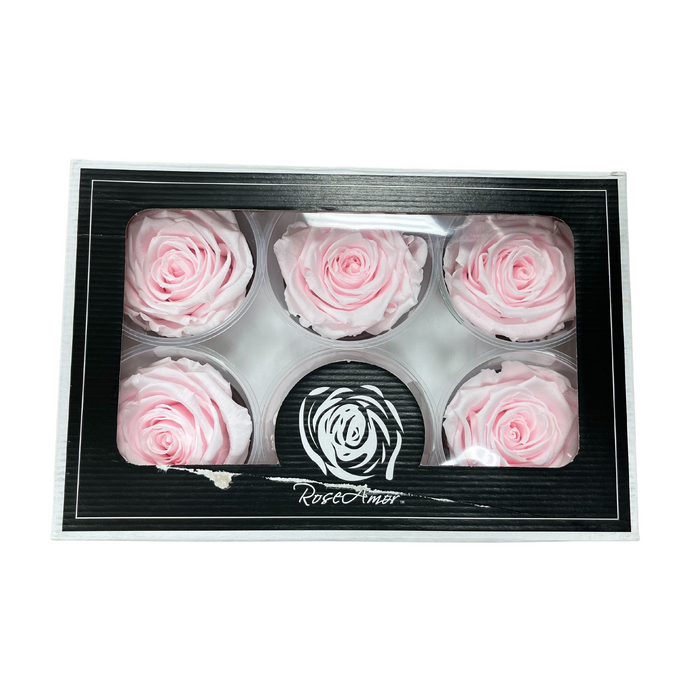 Preserved Rose (PIN 89 XL)