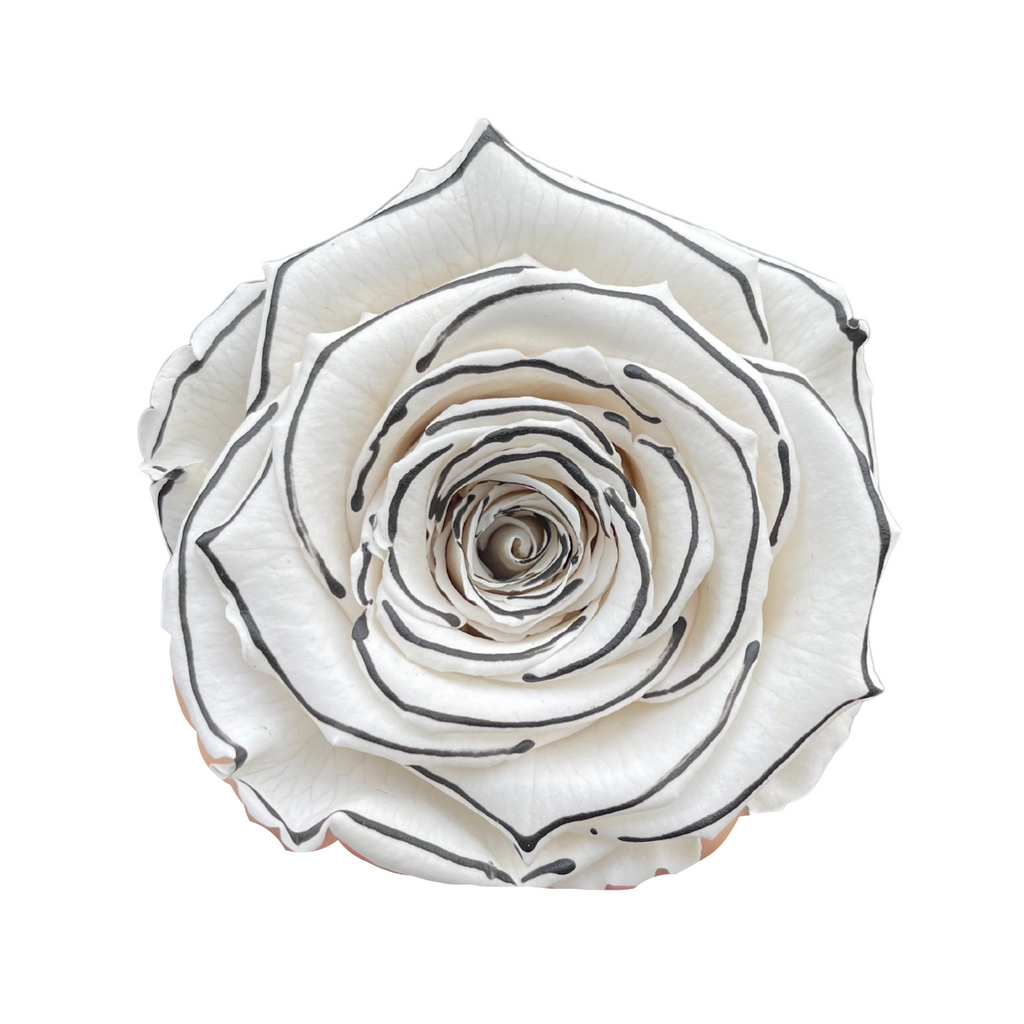 29_a46d0650-9ca7-404d-b0f2-