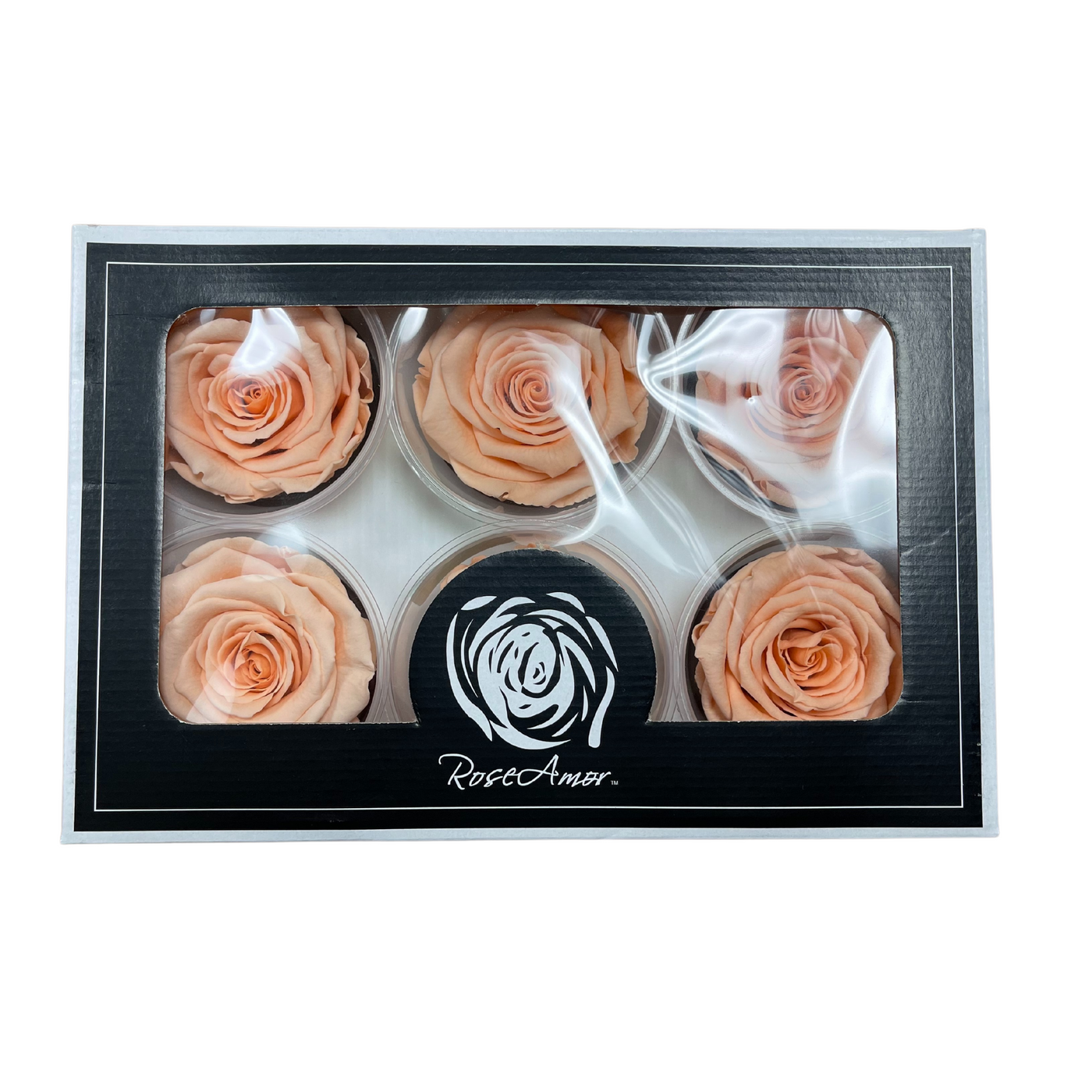 Wholesale Preserved Roses — Plenty Flowers