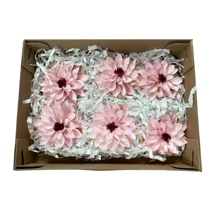 Preserved Dahlia Pink (PIN 04)