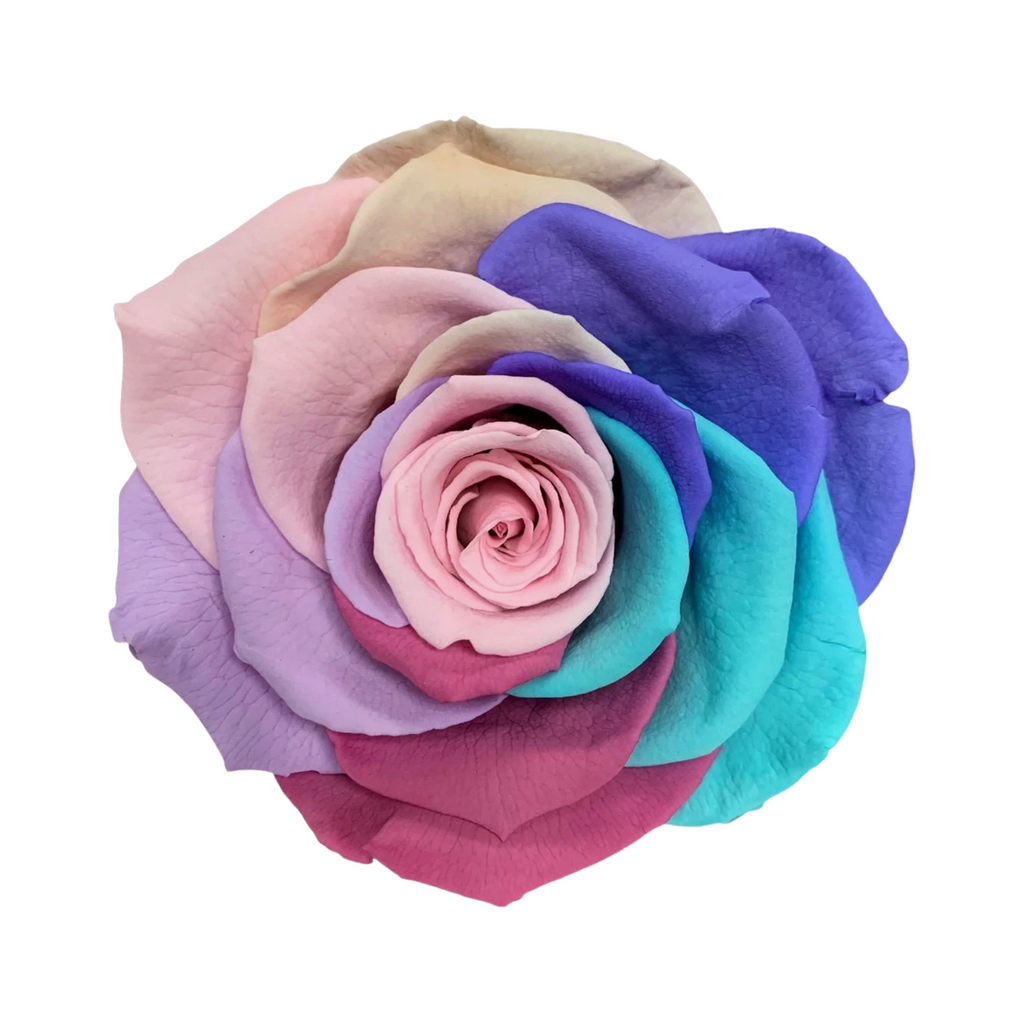 Ravishing popular Roses Collection - 4mm - Plains & Variegated