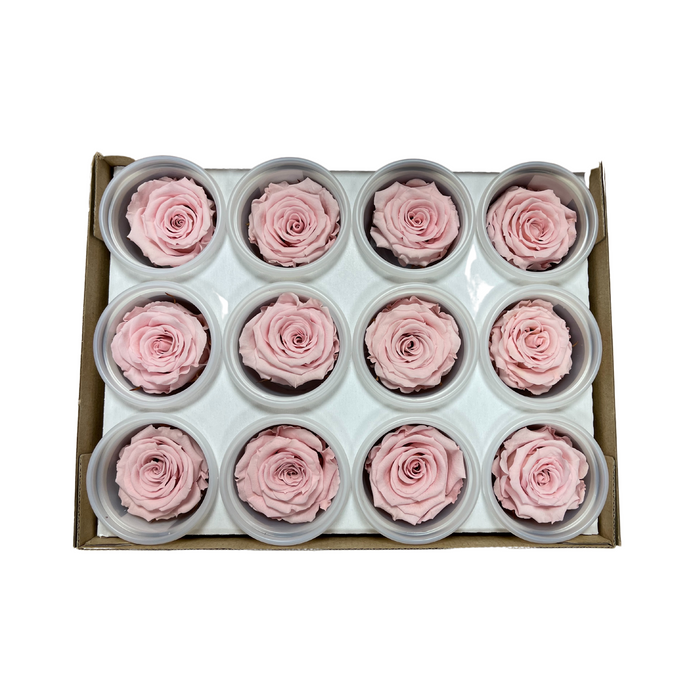 Preserved Rose LIGHT PINK (PIN 04 S)