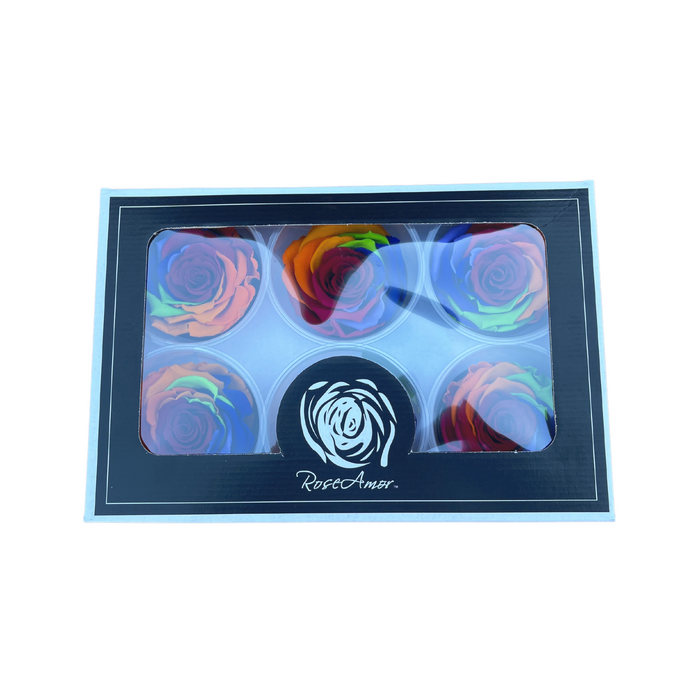Preserved Rose RAINBOW (RED 02 LL+)