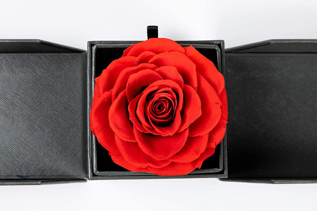 1×Romantic Rose Flower Ring Box Proposal Engagement Valentine's Day Gift  Holder | eBay