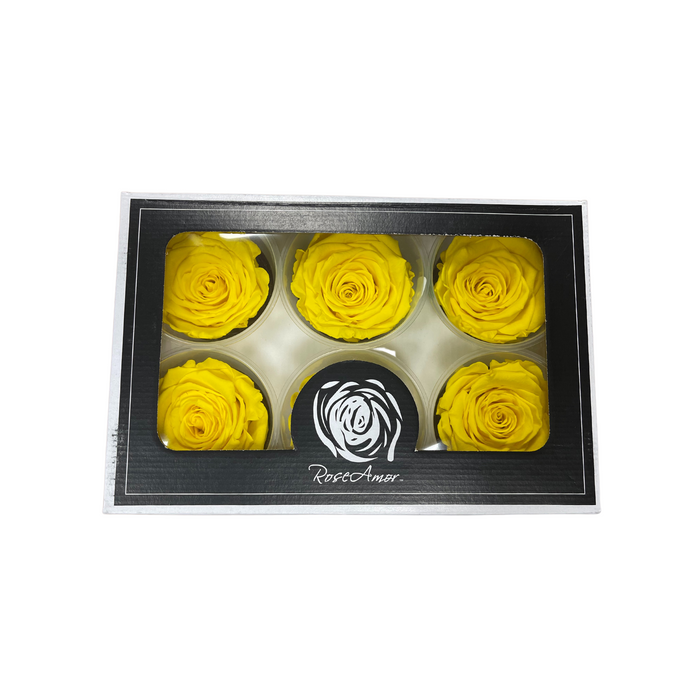 Preserved Rose YELLOW (YEL 02 LL+)