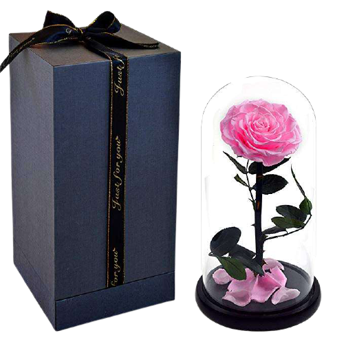 Beauty & Beast Preserved Rose Glass Dome