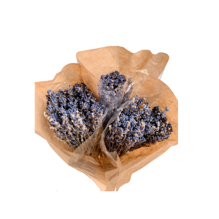 Dried Lavender (NATURAL)