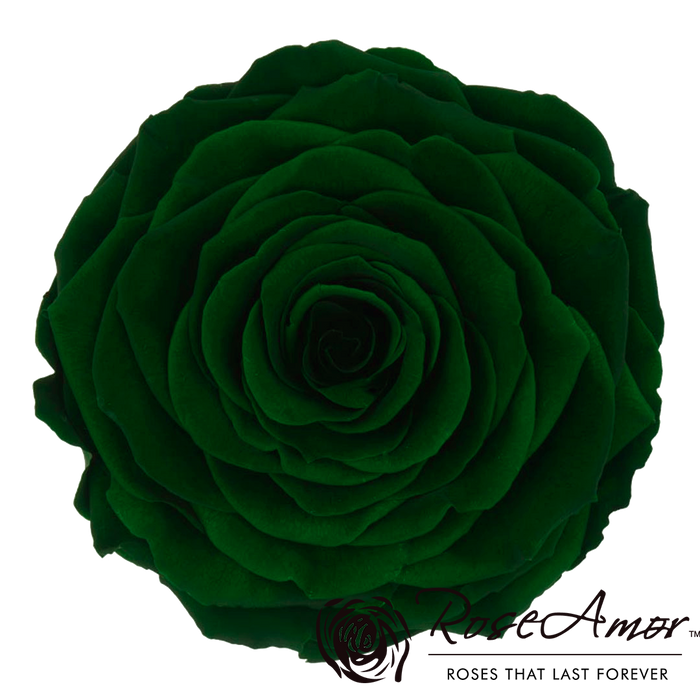 Preserved Rose DARK GREEN (GRE 02 LL+)
